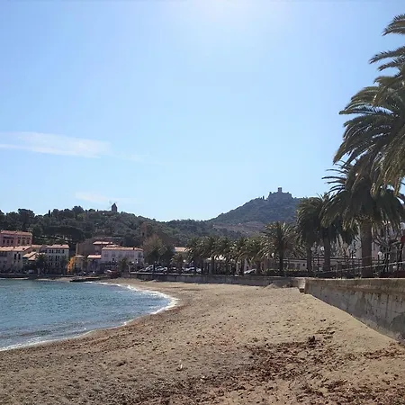 5vse-lam56 Avec Vue Sur La Baie * Collioure